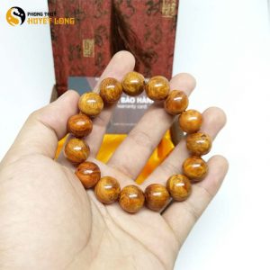 Vòng Tay Phong Thủy Huyết Long Nu 14 Ly