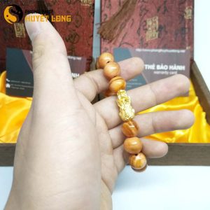 Vòng Tay Huyết Long Vip 12 Ly Mix Tỳ Hưu Bạc Xi Vàng 18K