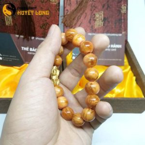 Vòng Tay Huyết Long Vip 12 Ly Mix Tỳ Hưu Bạc Xi Vàng 18K