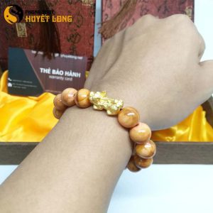 Vòng Tay Huyết Long Vip 12 Ly Mix Tỳ Hưu Bạc Xi Vàng 18K