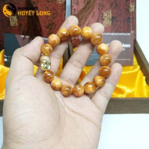 Vòng Tay Huyết Long Vip 12 Ly Mix Mặt Phật Xi Vàng