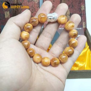 Vòng Tay Huyết Long Vip 12 Ly Mix Mặt Phật Bạc 925