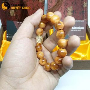 Vòng Tay Huyết Long Vip 12 Ly Mix Mặt Phật Xi Vàng