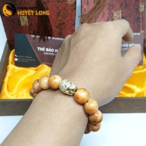 Vòng Tay Huyết Long Vip 12 Ly Mix Mặt Phật Xi Vàng
