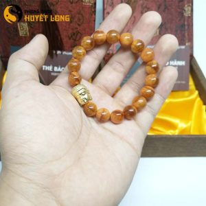 Vòng Tay Huyết Long Vip 10Ly Mix Mặt Phật Bạc Xi Vàng