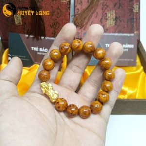 Vòng tay huyết long nu 12ly mix tỳ hưu bạc xi vàng
