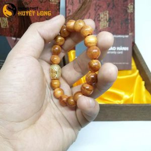 Vòng Tay Huyết Long Vip 10Ly Mix Mặt Phật Bạc Xi Vàng