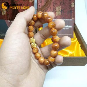 Vòng Tay Huyết Long Vip 10Ly Mix Tỳ Hưu Bạc Xi Vàng