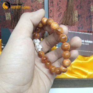 Vòng Tay Huyết Long Vip 10Ly Mix Tỳ Hưu Bạc 925