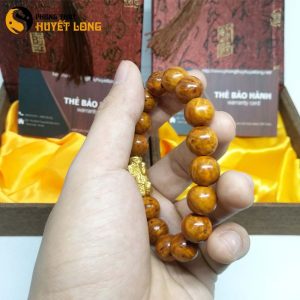 Vòng tay huyết long nu 12ly mix tỳ hưu bạc xi vàng