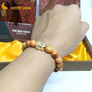 Vòng Tay Huyết Long Vip 10Ly Mix Mặt Phật Bạc Xi Vàng