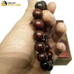 Vòng Tay Gỗ Tử Đàn Tiểu Điệp Sao Ấn Độ 12Ly (Size Nam)