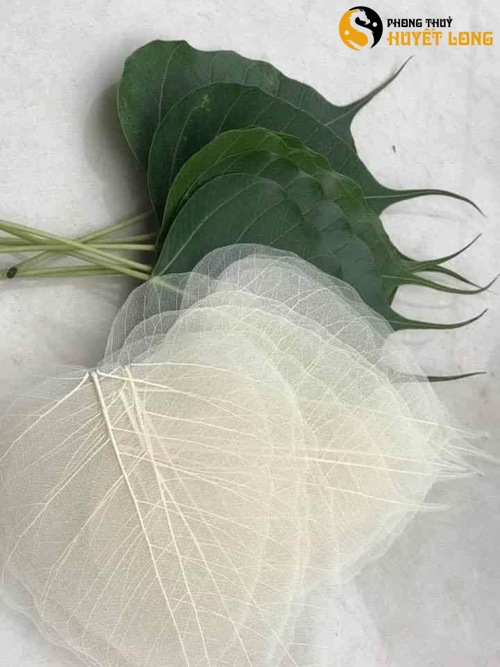 lá bồ đề tâm phật