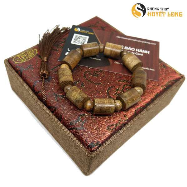 Trầm tốc dạng đốt trúc