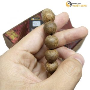 Toc Rung Nha Trang 14ly 3