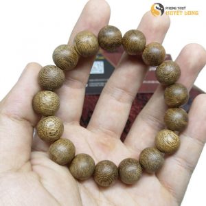 Toc Rung Quang Nam 12ly 2