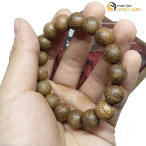 Toc Rung Quang Nam 12ly 4