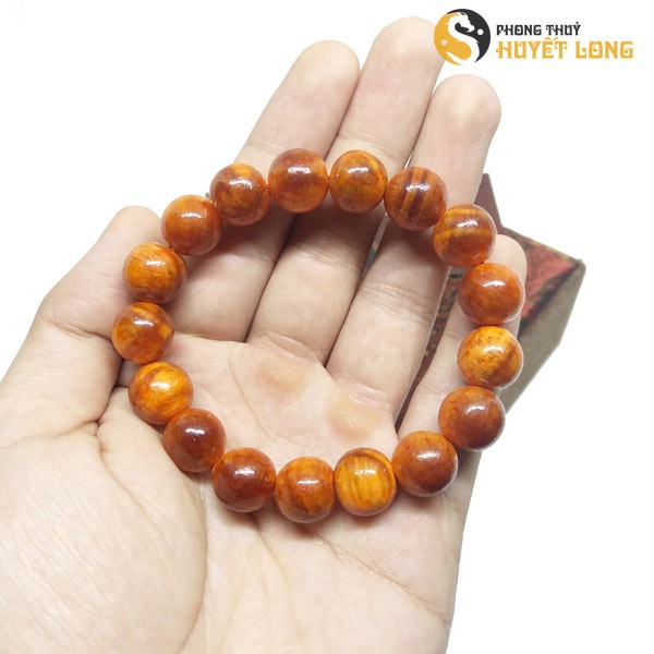 Vòng Huyết Long Vip 12ly (Size Nam- Thấu quang 100%)