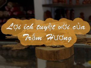 Tram Những lợi ích, tác dụng tuyệt vời của trầm hươngCanh 1 1024x768