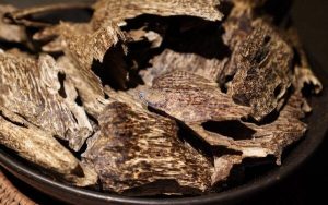 Những lợi ích, tác dụng tuyệt vời của trầm hương