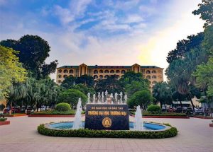 Vòng tay gỗ huyết long